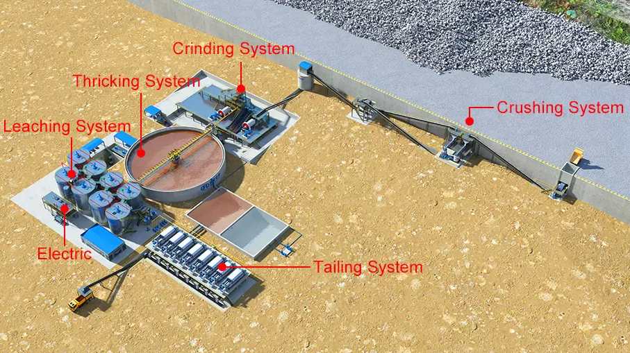 CIP process