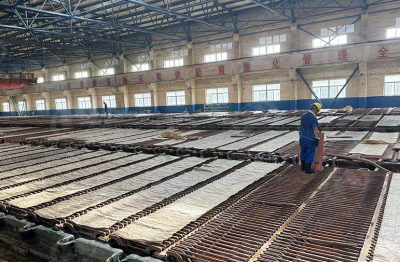 Why Is a Copper Electrolysis Plant Used to Produce High-Purity Cathode Copper