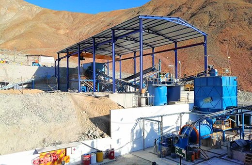 What Common Operational Risks Affect Gold Recovery in a CIL Gold Plant